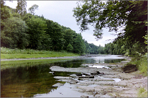 Mill Stream, Border Esk