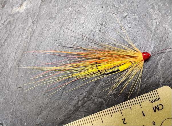 Tube fly with Free-swinging hook