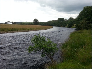 The River North Tyne