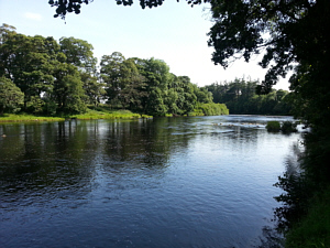 North Tyne Sea Trout Fishing