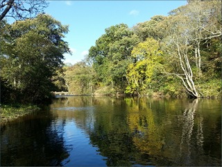 The River Coquet