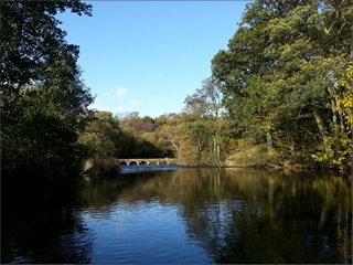 The River Coquet