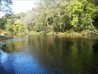 The River Coquet