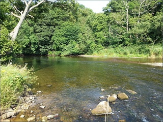 The River Coquet