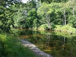 The River Coquet