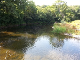 The River Coquet