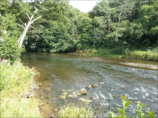 The River Coquet