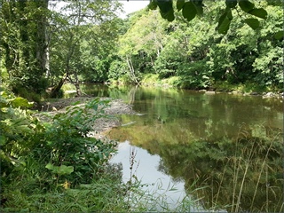 The River Coquet