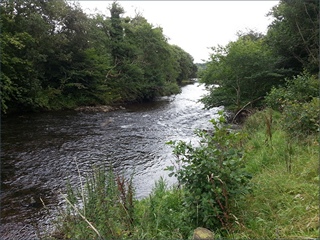 The River Coquet