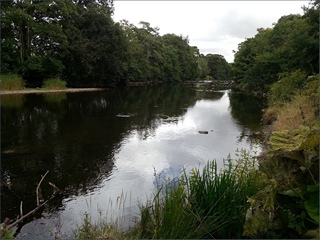 The River Coquet