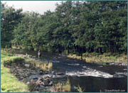 River Endrick Sea Trout Fishing