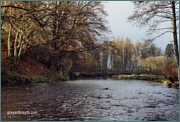 Cowden Mill dam, River Endrick