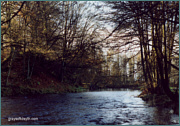 River Endrick Sea Trout Pool