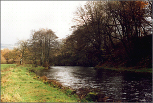 River Endrick Sea Trout Fishing