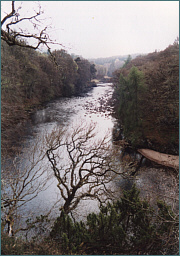 River Findhorn Sea Trout Fishing