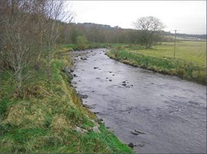 The River Isla