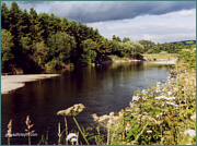 River Nith Sea Trout Fishing