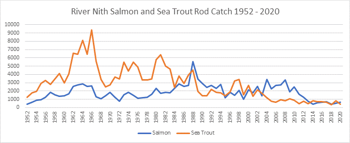 River Nith salmon and sea trout catches