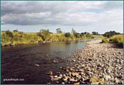 Sea Trout Fishing on the River Nith