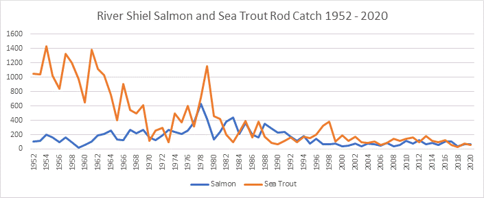 River and Loch Shiel salmon and sea trout catches