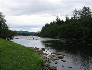 Sea Trout Fishing, Grantown