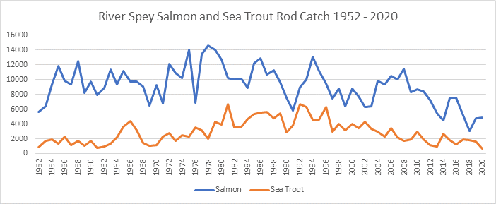 River Spey salmon and sea trout catches