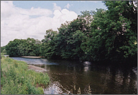 Towy Sea Trout Fishing