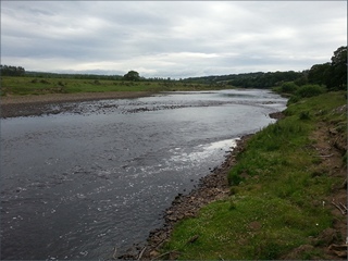 The River Tyne