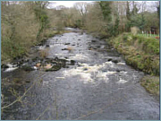 River Urr Sea Trout Fishing