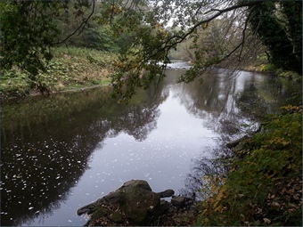 Sea trout fishing on the River Wear