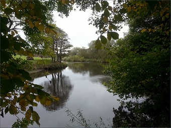 The River Wear