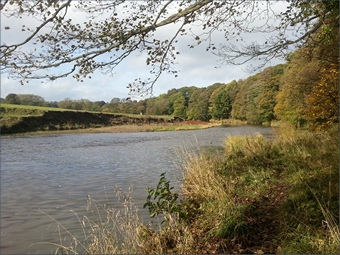 The River Wear