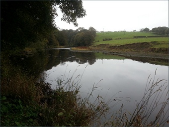 The River Wear