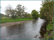 River Wear Sea Trout Fishing