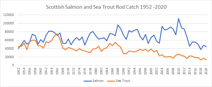 Scottish salmon and sea trout catches