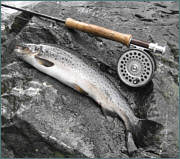 Sea Trout Fly Fishing