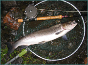 Sea Trout Fly Fishing