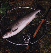 Sea Trout Fly Fishing