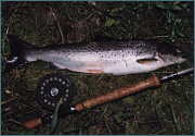 Sea Trout Fly Fishing