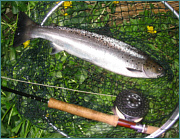 Sea Trout Fly Fishing