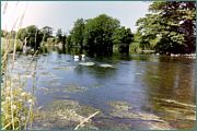 River Annan Sea Trout Fishing