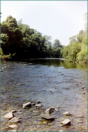 River Annan Sea Trout Fishing