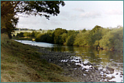 Border Esk Sea Trout Fishing