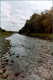 Border Esk Sea Trout Fishing