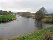 River Deveron Sea Trout Fishing