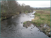 Deveron Sea Trout Fishing