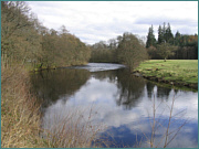 Sea Trout Fishing on the River Earn