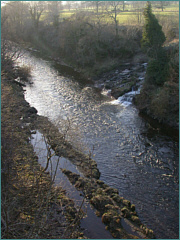 River Esk Sea Trout Fishing