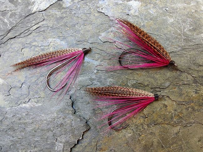 Sea Trout Singles