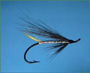 Sea Trout Fly